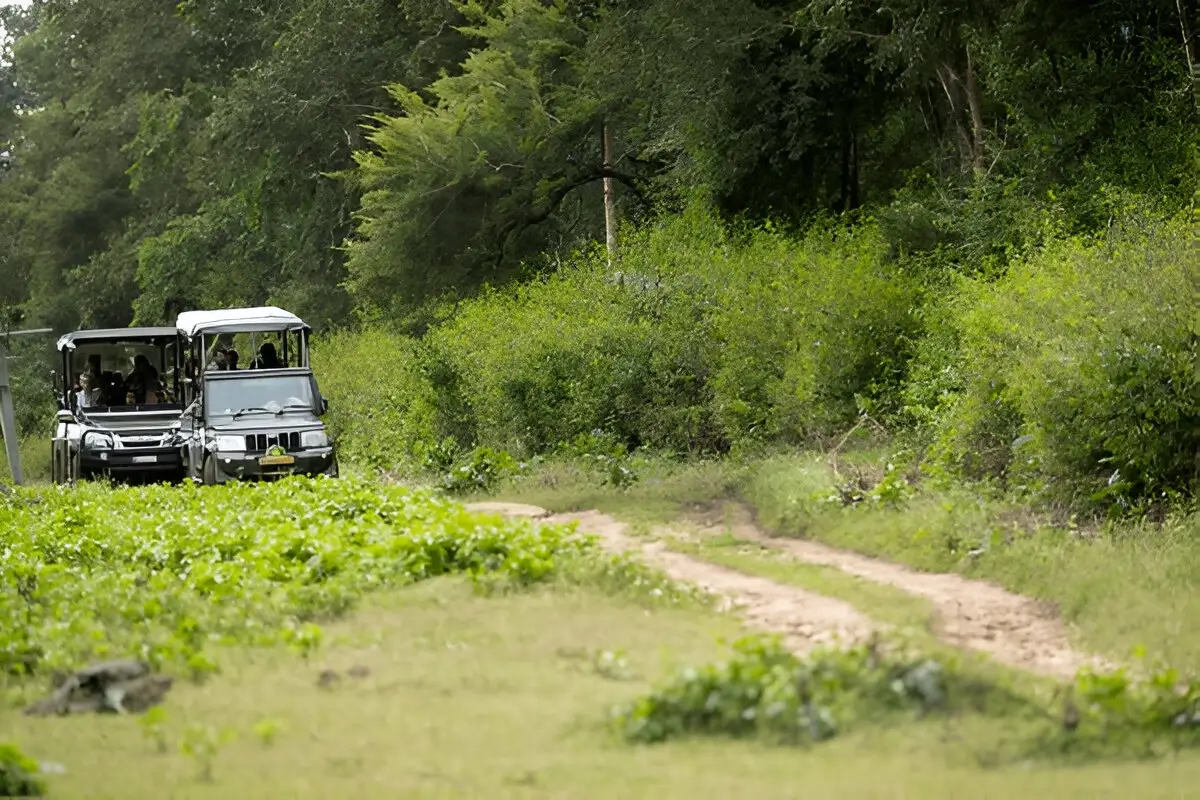 Nagarhole National Park 